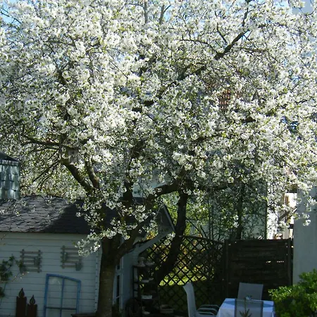 Haus Müller Romerstein