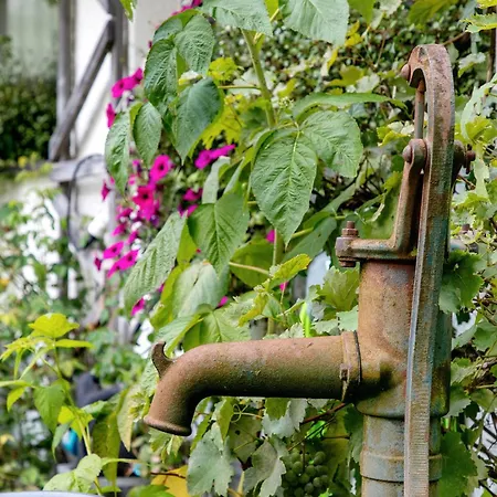 Haus Müller Apartment *