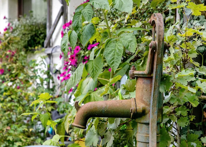 Haus Mueller Lejlighed *